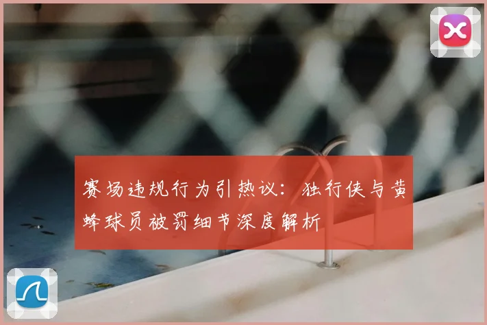 赛场违规行为引热议：独行侠与黄蜂球员被罚细节深度解析