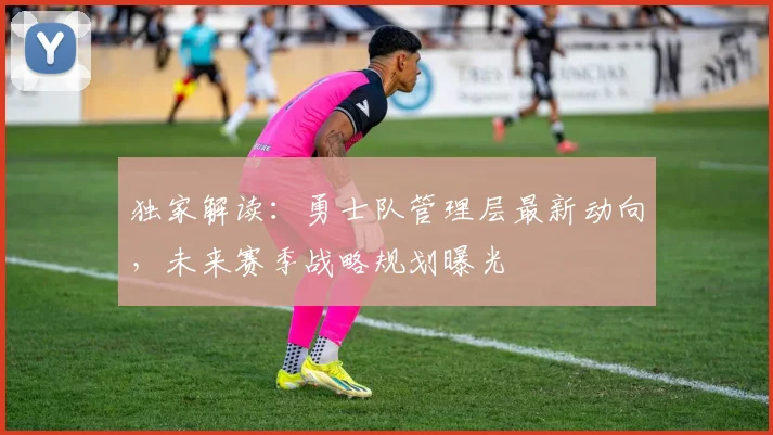 独家解读：勇士队管理层最新动向，未来赛季战略规划曝光