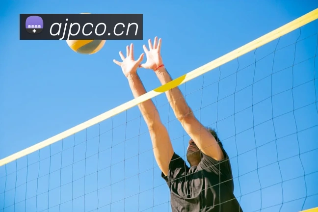 mksports官方网站登录入口平台生态图